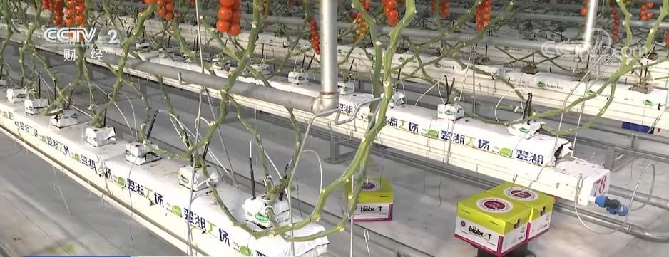 新装备新科技聚势北京 加速农产品提质与现代农业增效